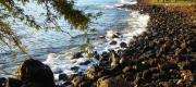 View the Album: Hawaii
 25 images